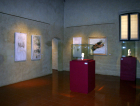 Casa del Mantegna, sala 6